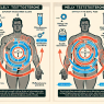 Diferencias en resultados al usar Methyltestosterone con y sin insulina