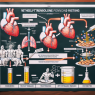 Qué pasa si combinas Methyltrenbolone con ayuno prolongado