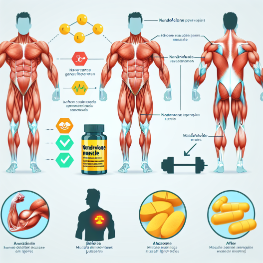 ¿Puede Nandrolona mejorar el bombeo muscular?
