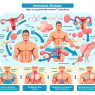Qué cambios hormonales esperar tras suspender Trembolona mix (mezcla de trembolona)